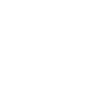 Restaurant Franchise Industry